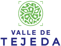 logo-valle-de-tejeda-casas-javer