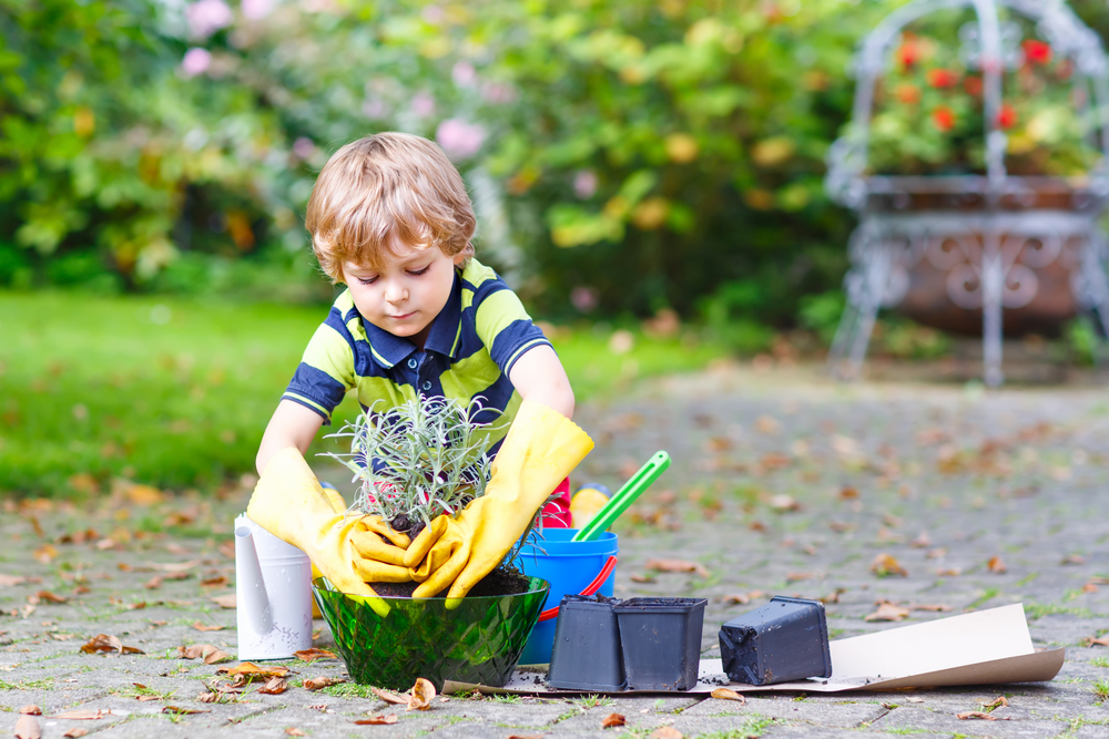 Marchito Juguetón Parámetros Ideas de jardinería para hacer con los niños | JAVER